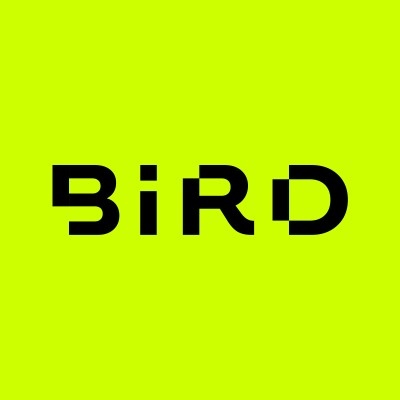Head Designer