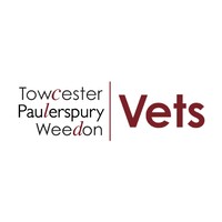 Equine Veterinary Surgeon