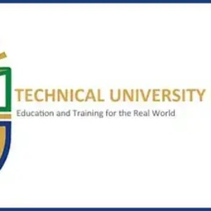 Director - School of Business & Management Studies