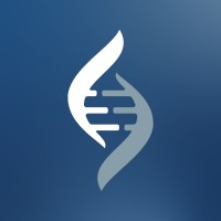 System Engineer