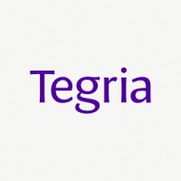 Senior Analytics Consultant