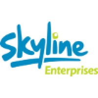 Enterprise Solutions Project Manager