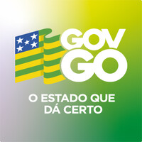 Gerente de Projetos | PMO