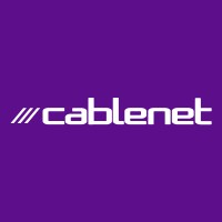 Business Intelligence Analyst