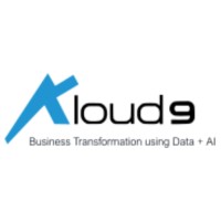 Chief Revenue Officer (CRO)