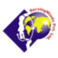 Sales Executive