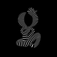Associate Creative Director