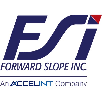 Senior Information Technology Project Manager