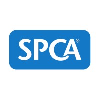 Partnerships Manager | National Support