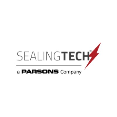 Senior Security Engineer