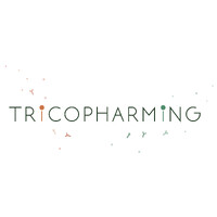 Marketing Asociate Manager