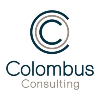 IT Senior Project Manager 