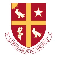 University of St Thomas - Cameron School of Business Mentor