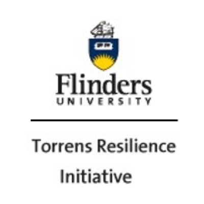 Research Fellow