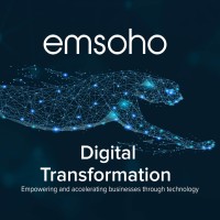 Strategy Head - Digital Transformation