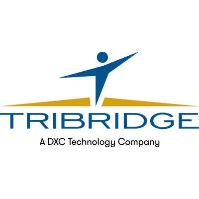 Business Development & Alliance Partner; Enterprise