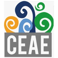 Director Gestión Administrativa del Comité de Estudiantes de Administración de Empresas