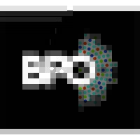 Director of Development