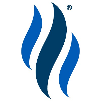Implementation Services, Director