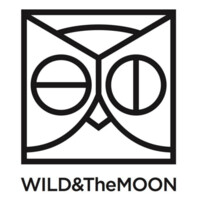 Assistant directeur artistique