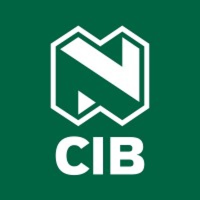 Principal in Debt Capital Markets