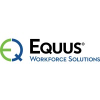 Business Solutions Consultant