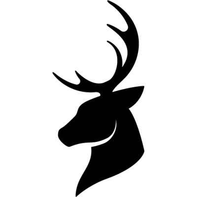 Senior Designer / Art Director