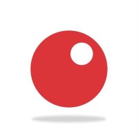 Organization Development Advisor (Team Lead)