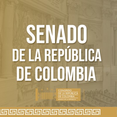 Diseñadora gráfica
