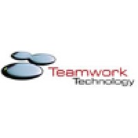 Senior IT Manager
