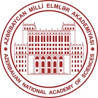 Lead researcher at Carpet Studies department