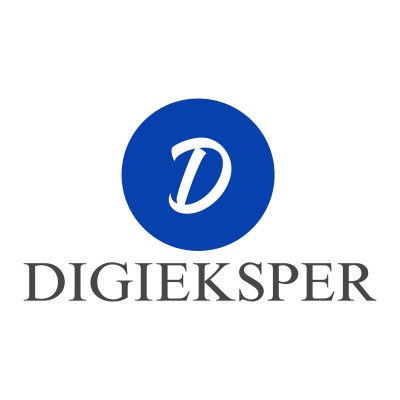 CEO / Consultant