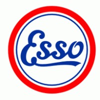 Project Engineer
