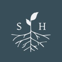 Account Director