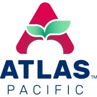 Senior Executive Assistant To C-Level Executive Team