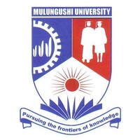 Acting Deputy Vice-Chancellor