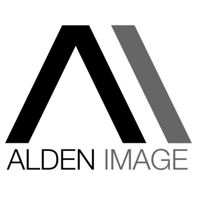 Director / Technical Lead