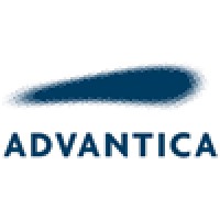 Project Lead GIS Developer