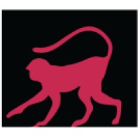 Social Media Manager and Content Creator