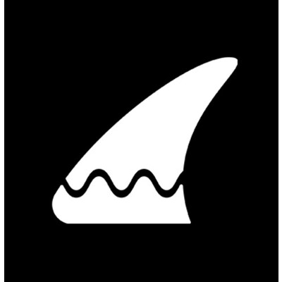 Non Executive Director and Advisor