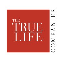 Assistant to Chief Executive Officer and Chief Financial Officer