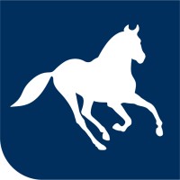 Multimedia Developer