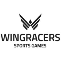Consultant Product Management (Virtual Reality Game) Red Bull Air Race- The Game