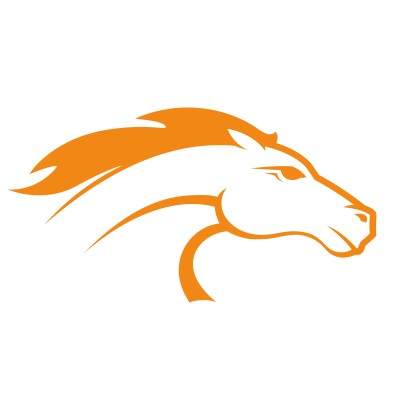 Development Team Lead