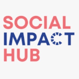 Professional Impact Network Consultant