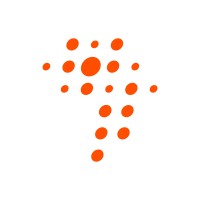 Technical Director - Telecom Security