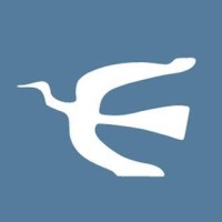 Senior Frontend Developer
