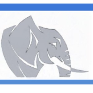 Directeur Général