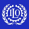 Consultor adjunto