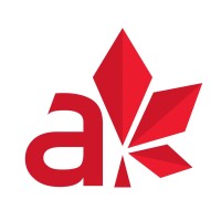 Board Member